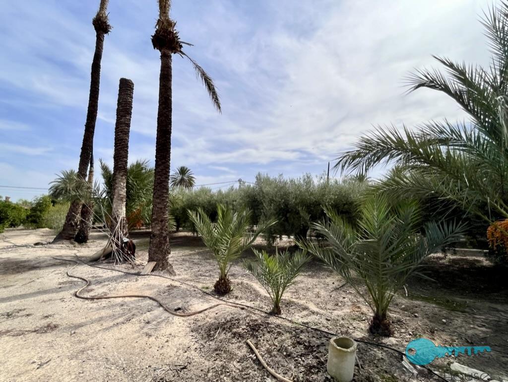 Venta de casa en Elche-Elx