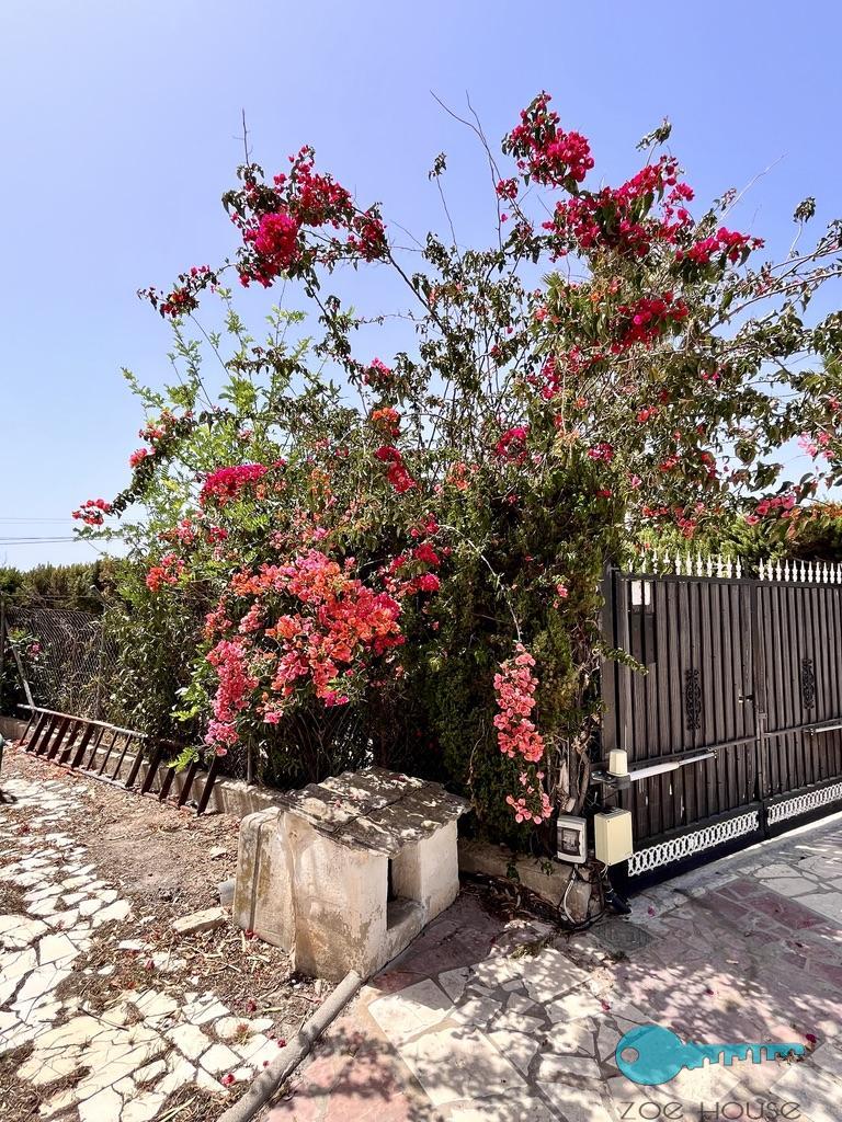 Venta de chalet en Elche-Elx