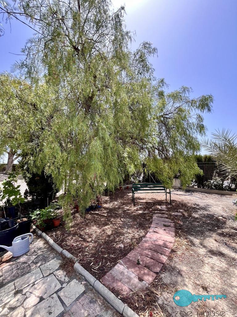 Venta de chalet en Elche-Elx