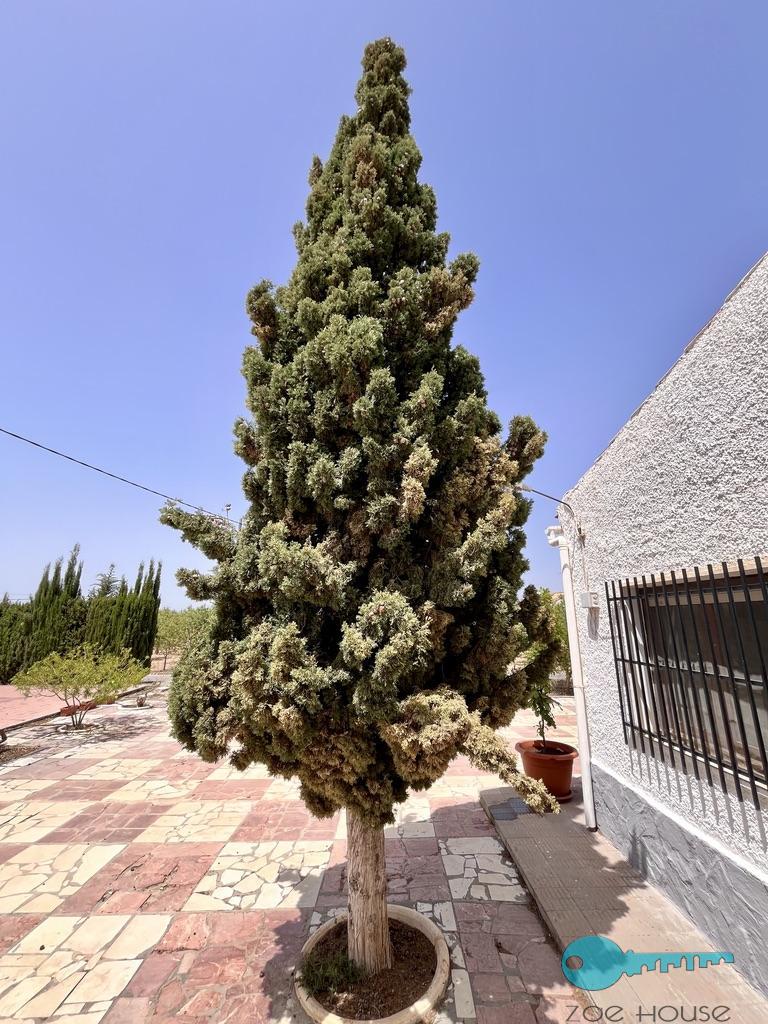 Venta de chalet en Elche-Elx