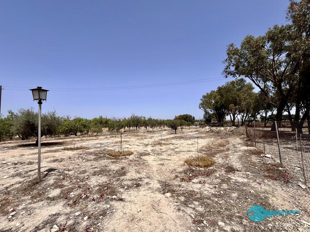 Venta de chalet en Elche-Elx