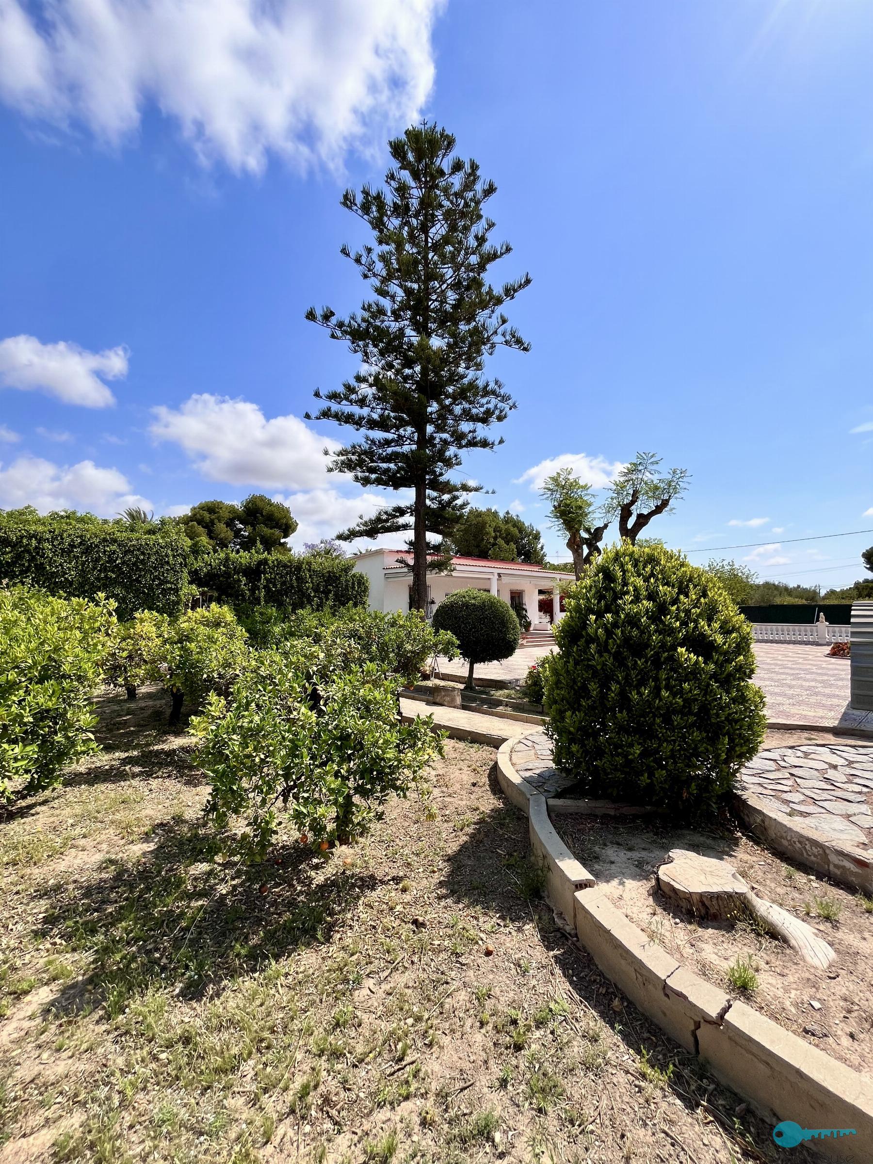 Jardín