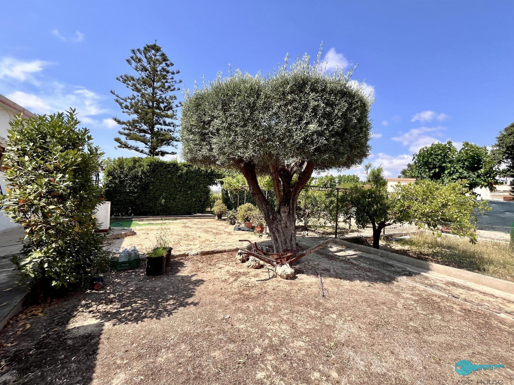 Jardín