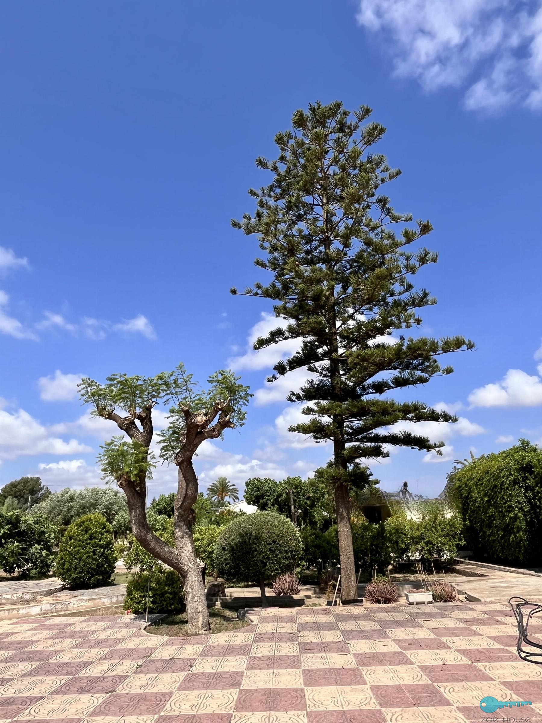 Jardín