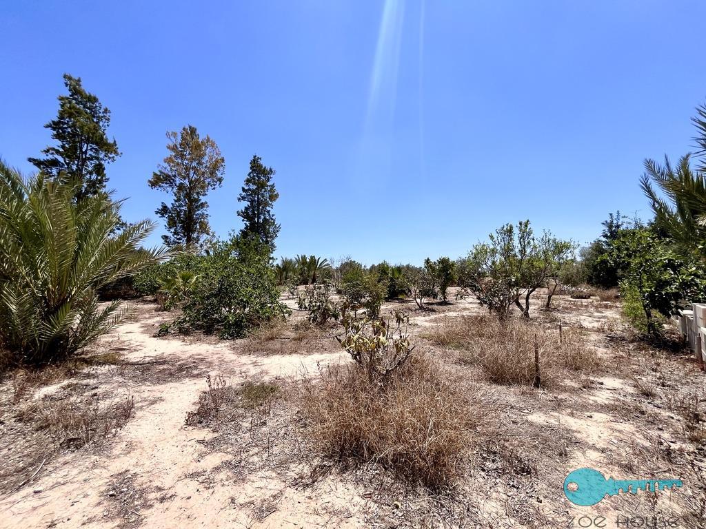 Venta de chalet en Elche-Elx