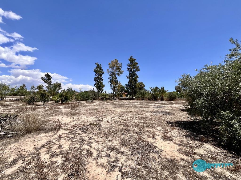 Venta de chalet en Elche-Elx