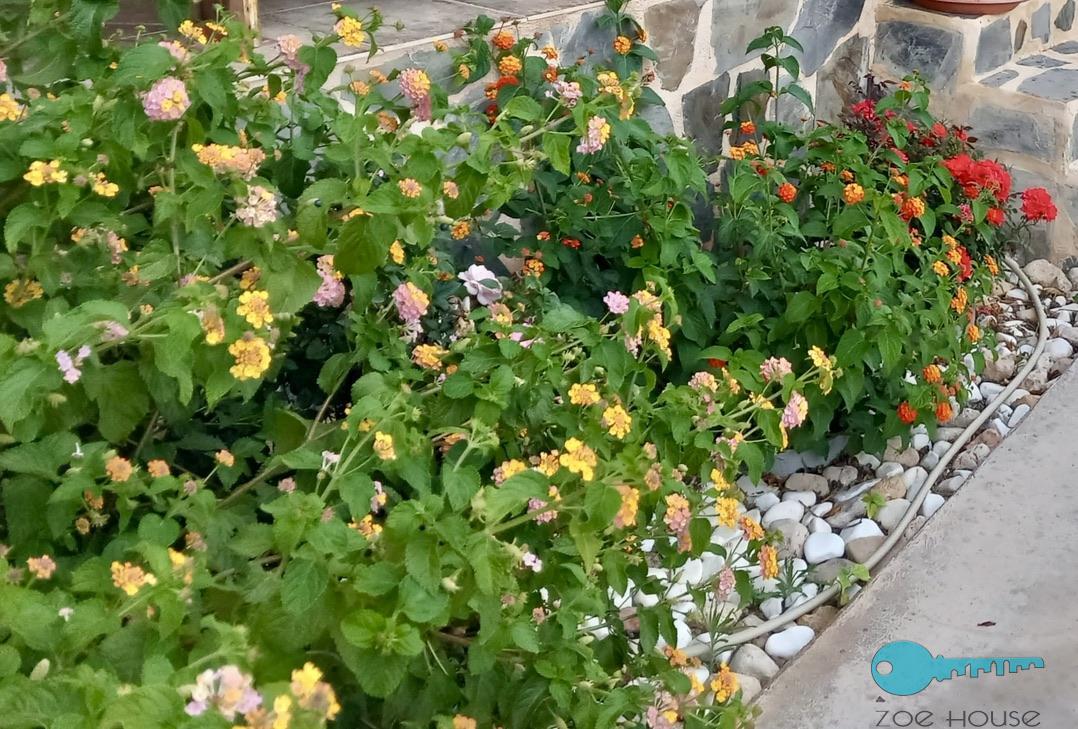 Jardin