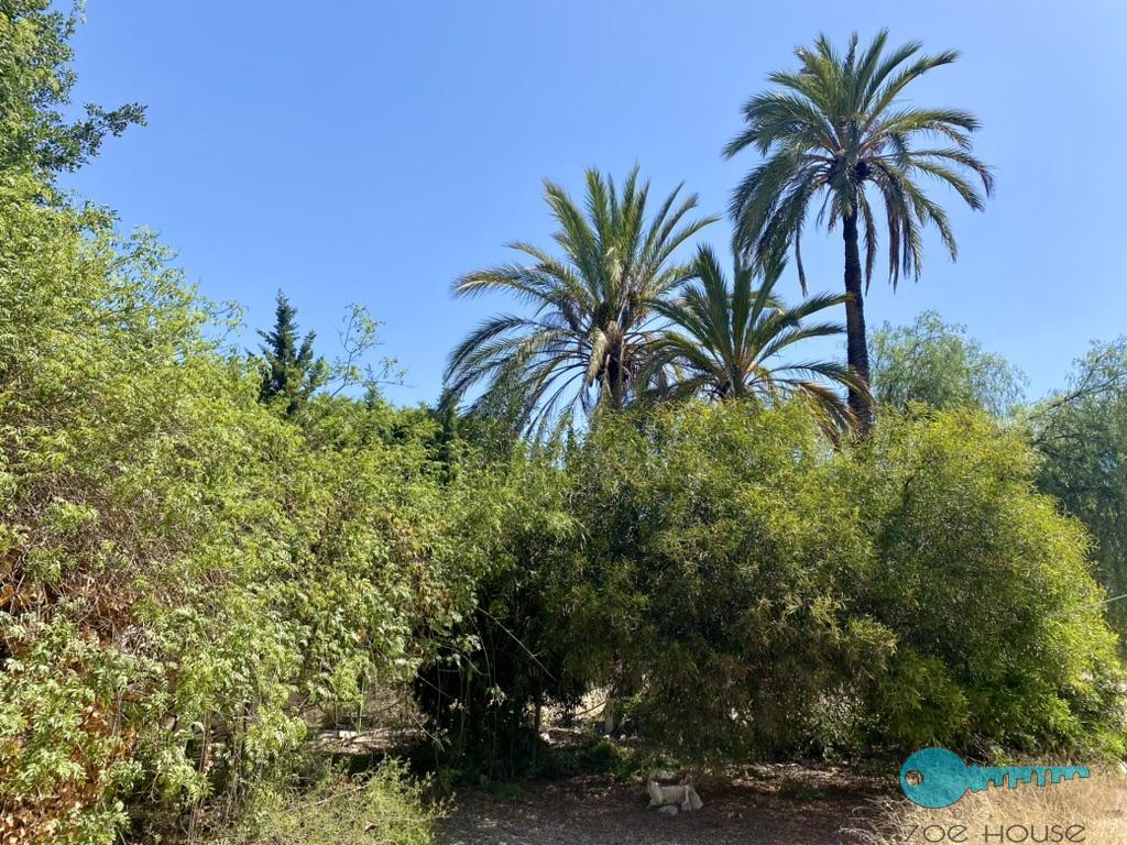 بيع من الشاليه في Elche-Elx