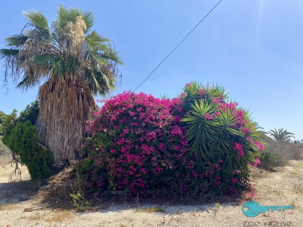 بيع من الشاليه في Elche-Elx