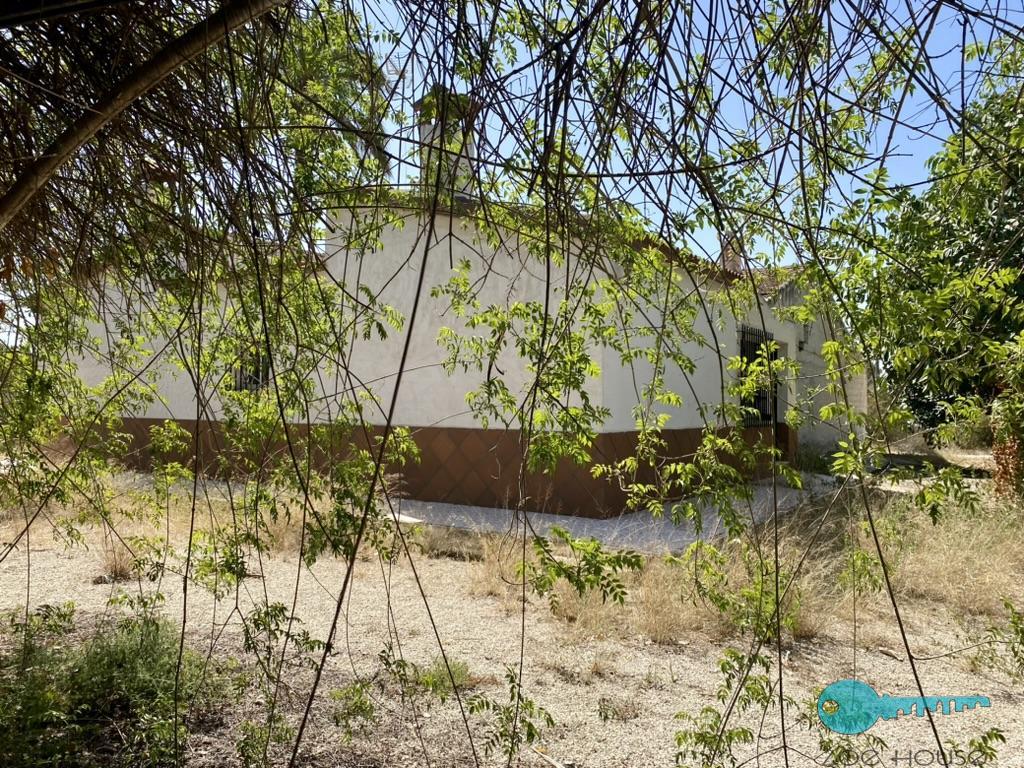 بيع من الشاليه في Elche-Elx