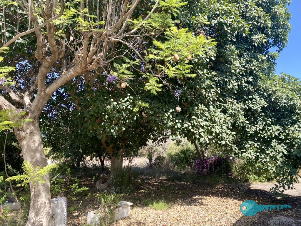 بيع من الشاليه في Elche-Elx