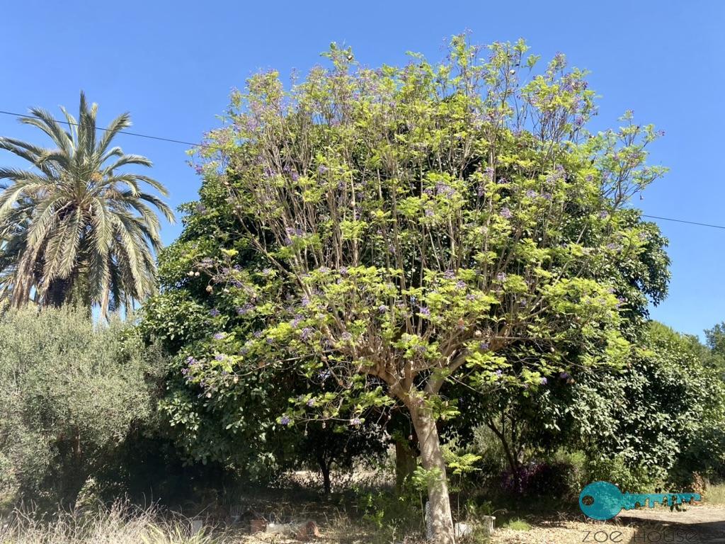 بيع من الشاليه في Elche-Elx