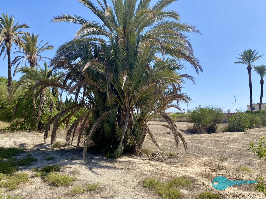بيع من الشاليه في Elche-Elx