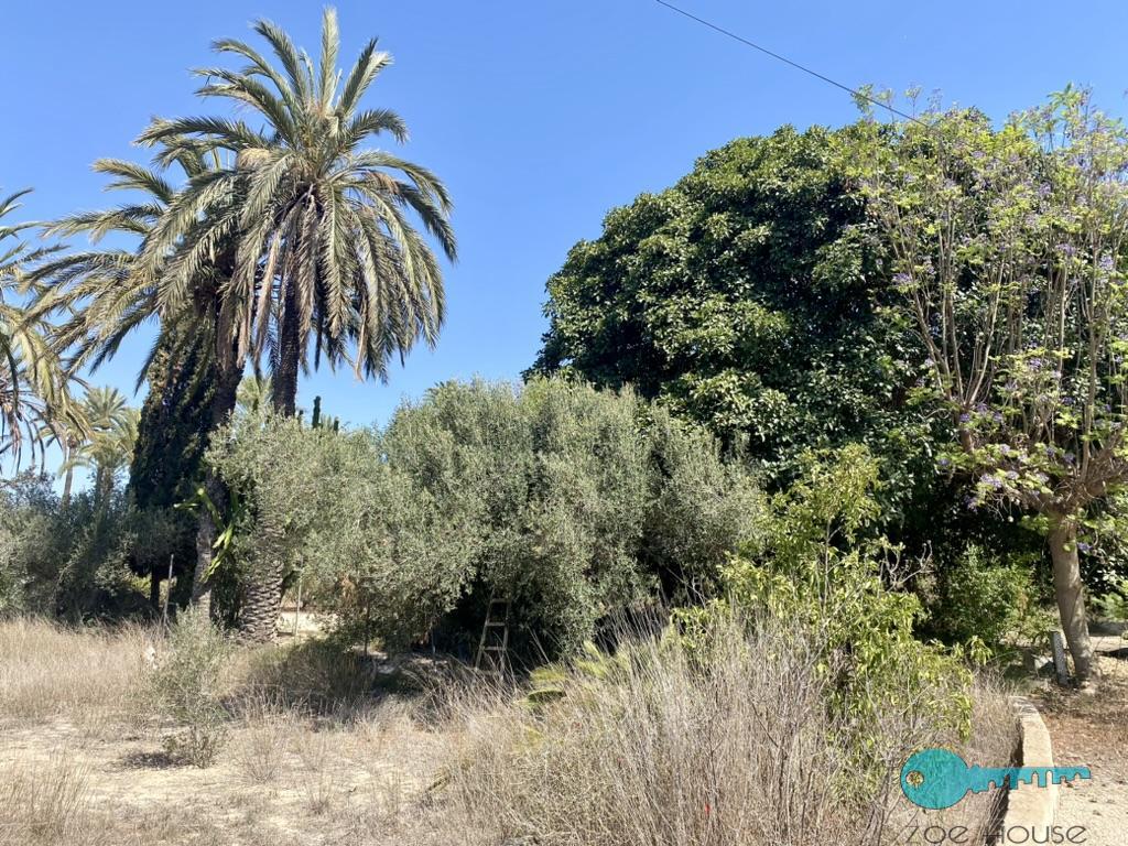 بيع من الشاليه في Elche-Elx