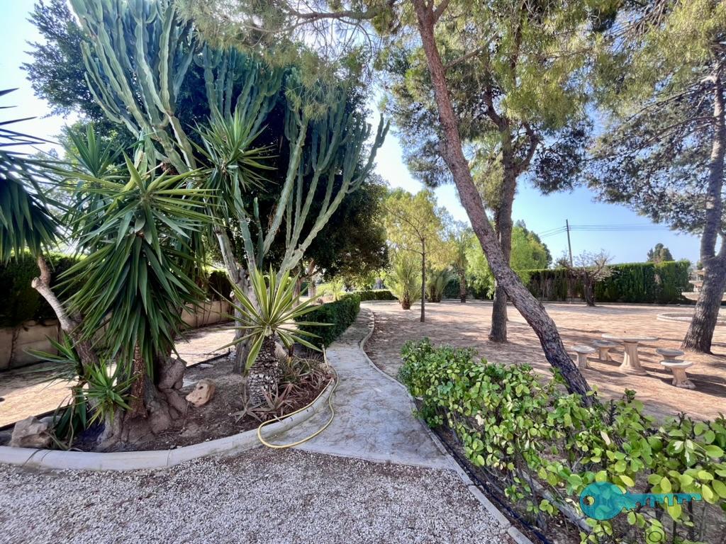 Garden
