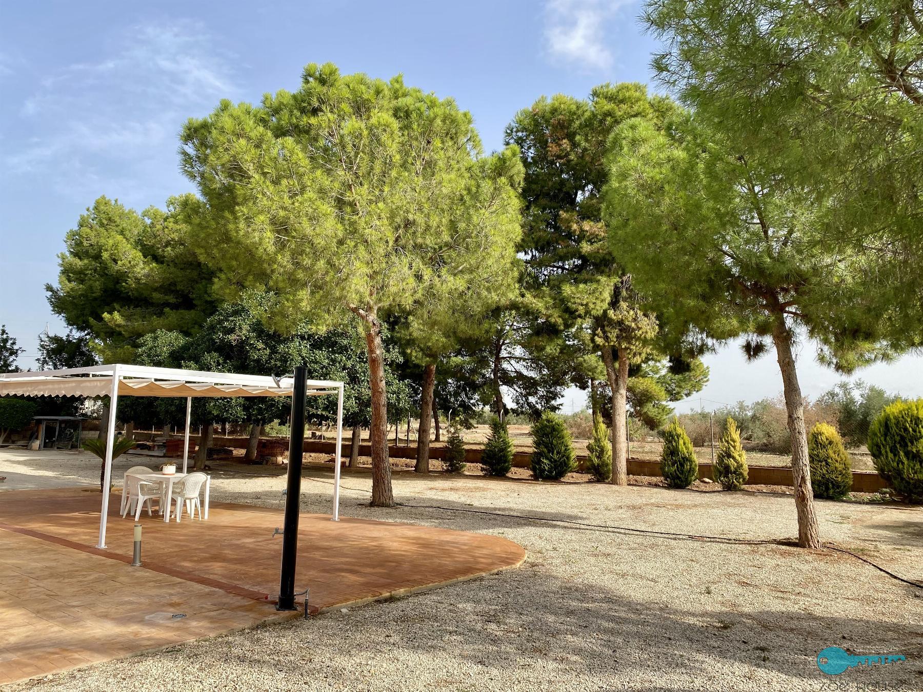 For sale of chalet in Crevillent