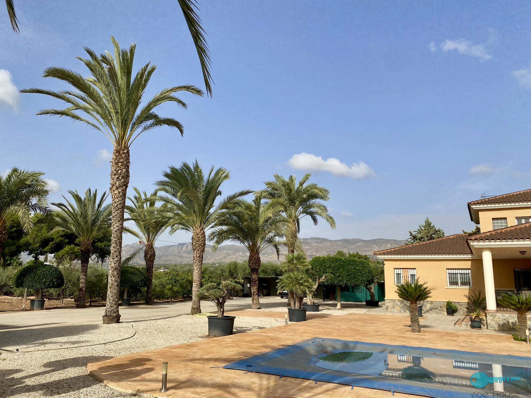 For sale of chalet in Crevillent