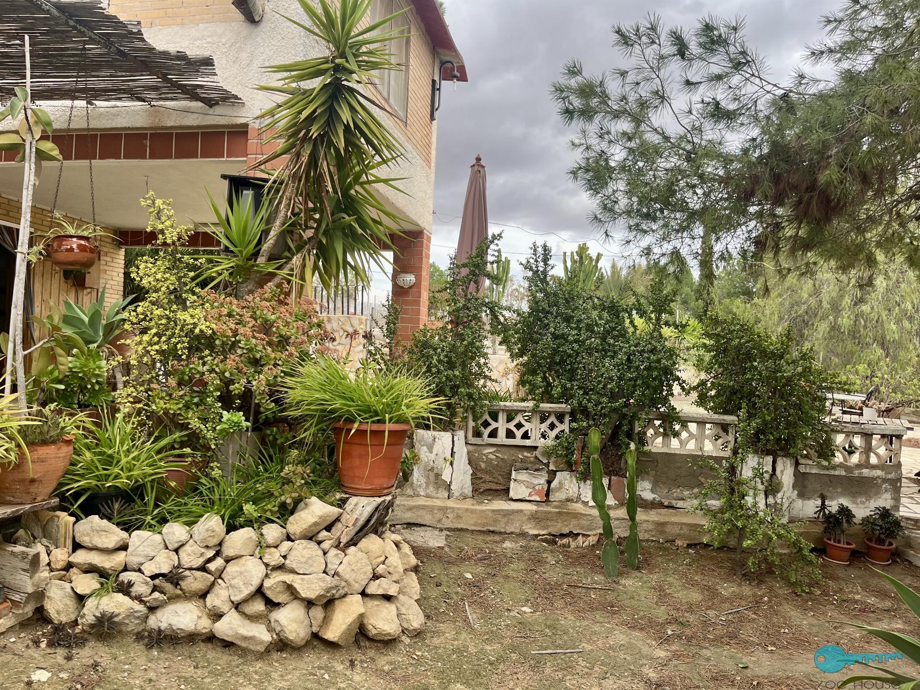 Giardino