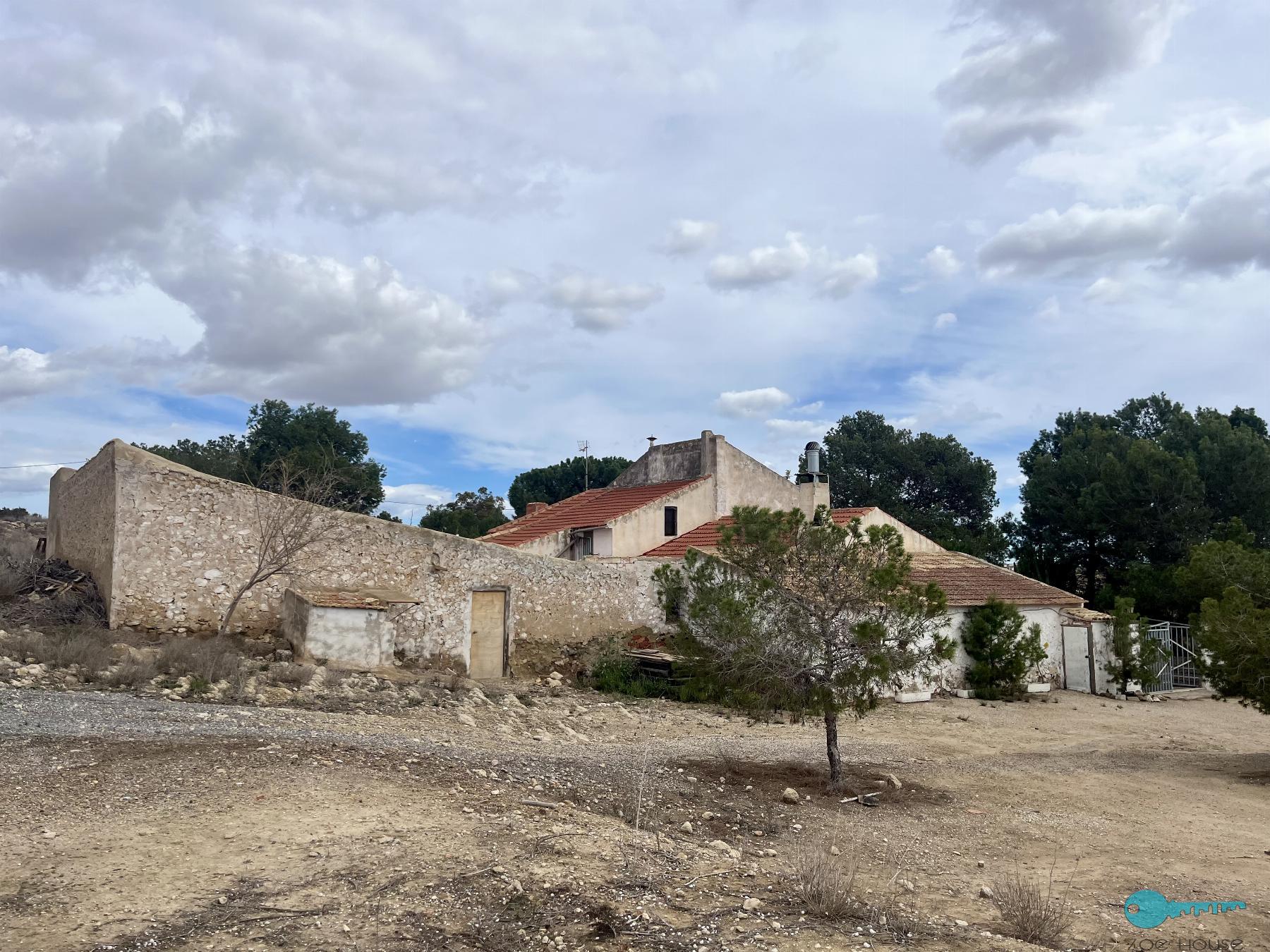 Dintorni