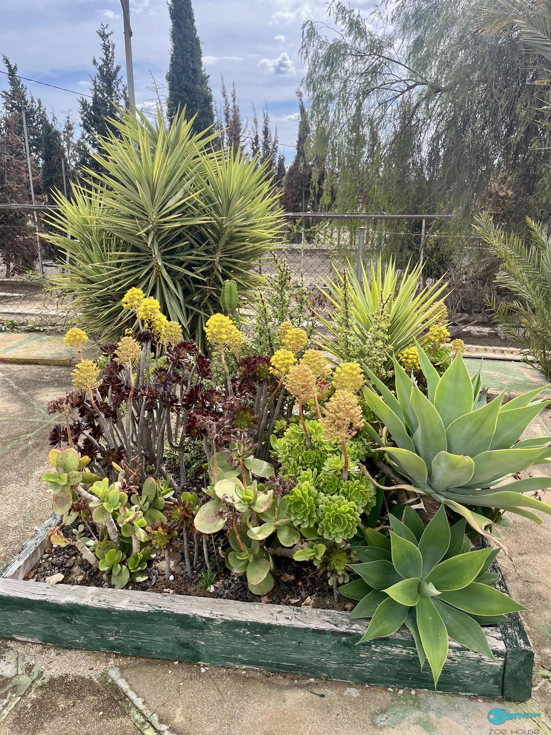 Giardino