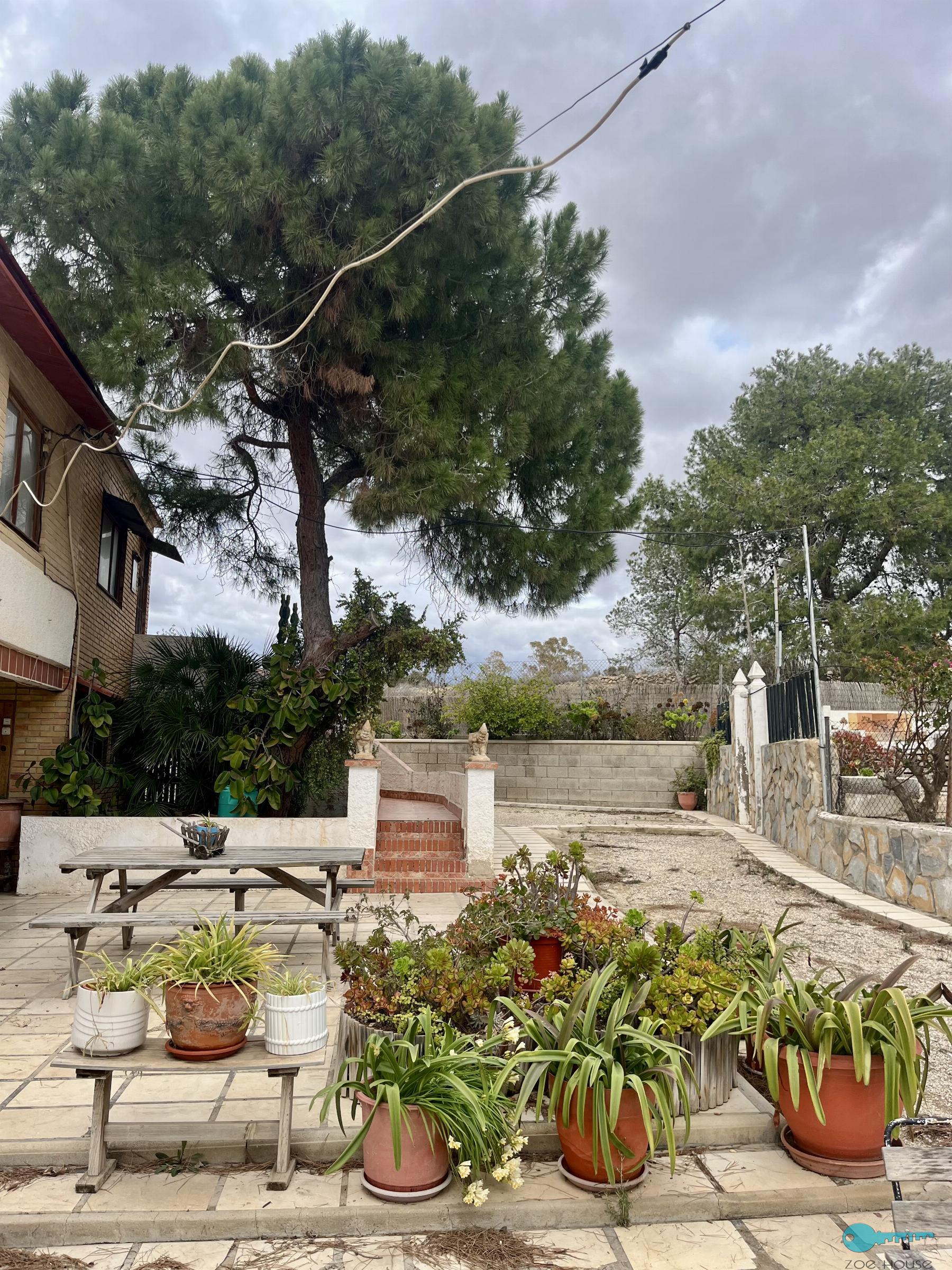 Giardino