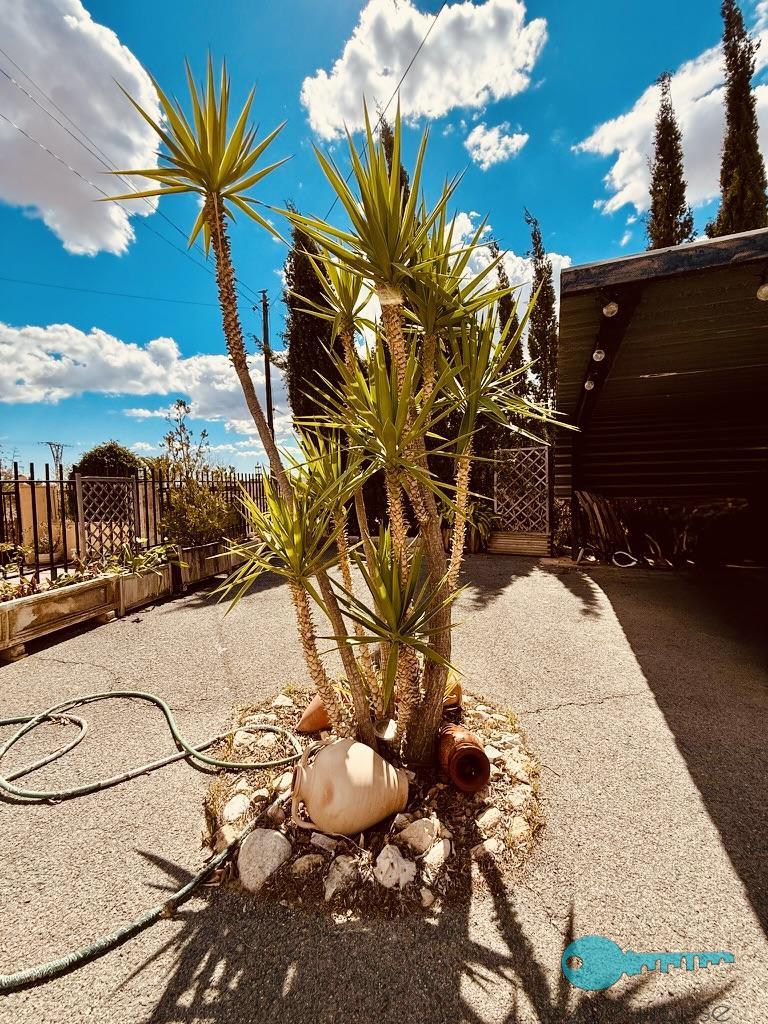 Zu verkaufen von chalet in
 Elche-Elx