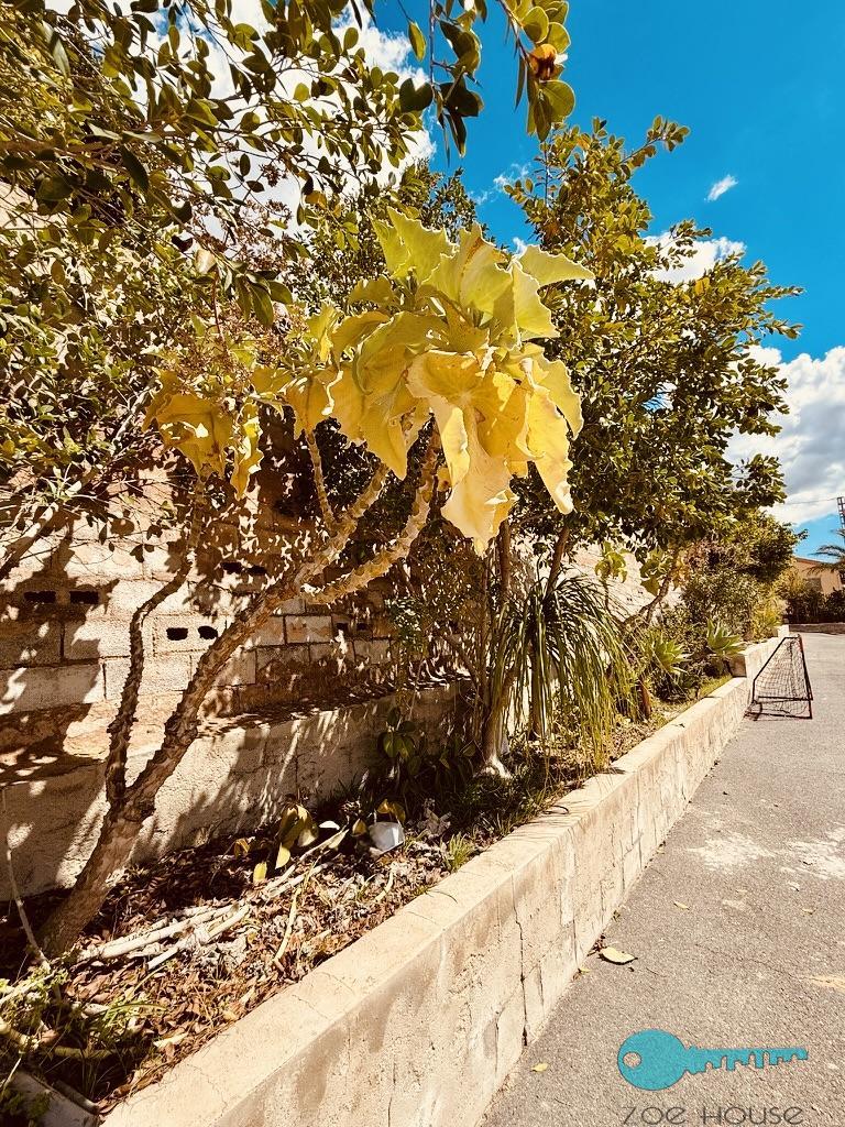 Zu verkaufen von chalet in
 Elche-Elx