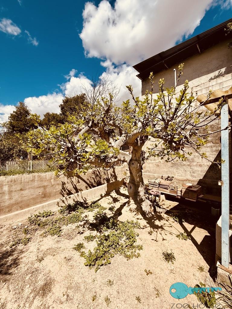 Zu verkaufen von chalet in
 Elche-Elx