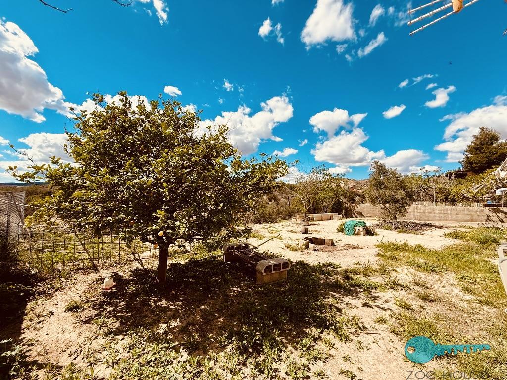 Zu verkaufen von chalet in
 Elche-Elx