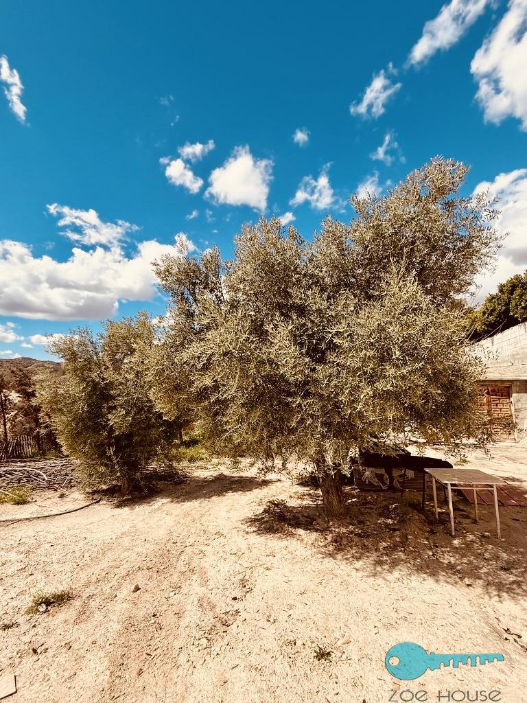 Zu verkaufen von chalet in
 Elche-Elx