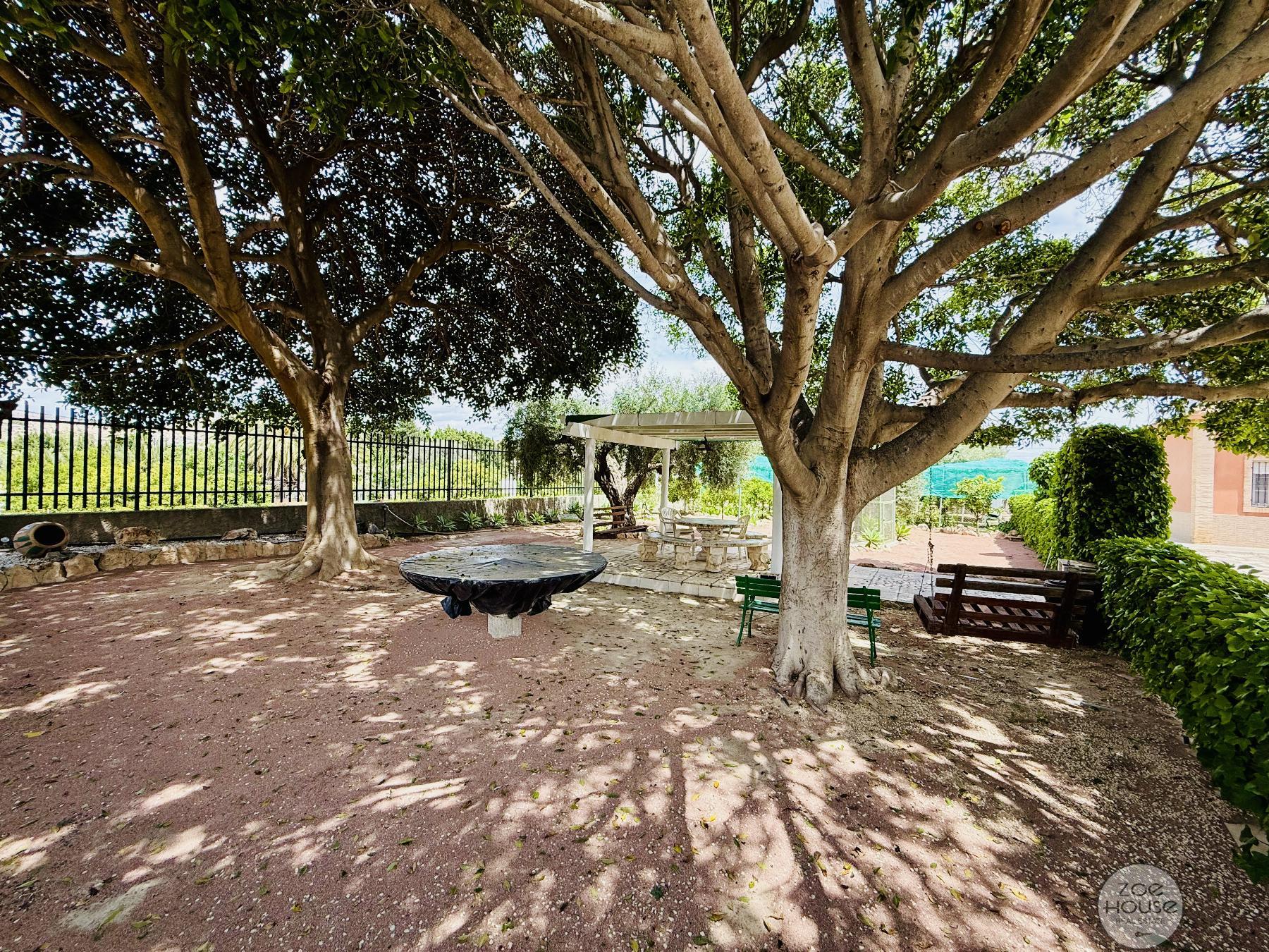 Jardín