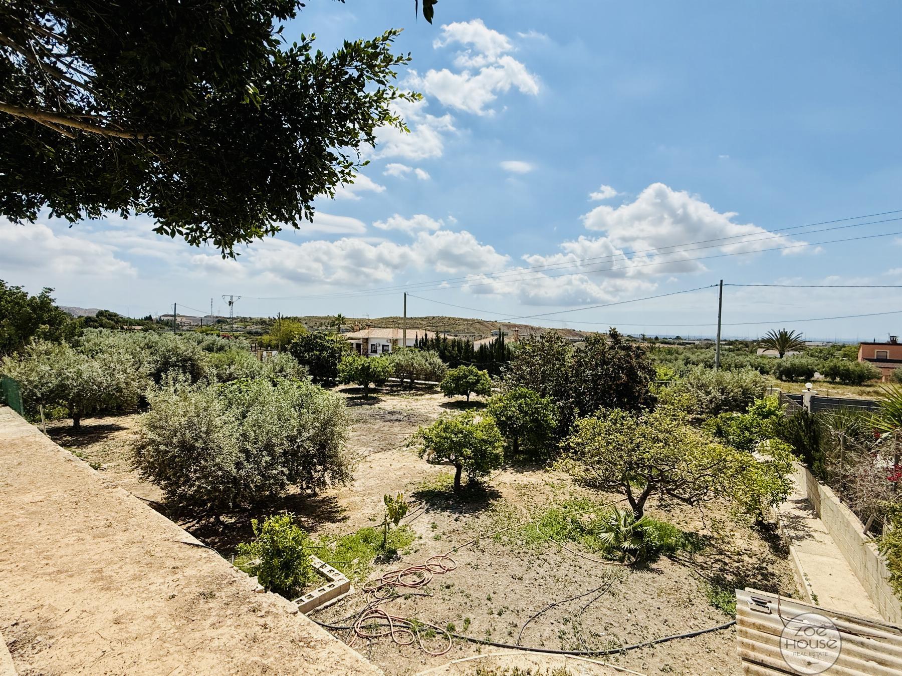 Terreno