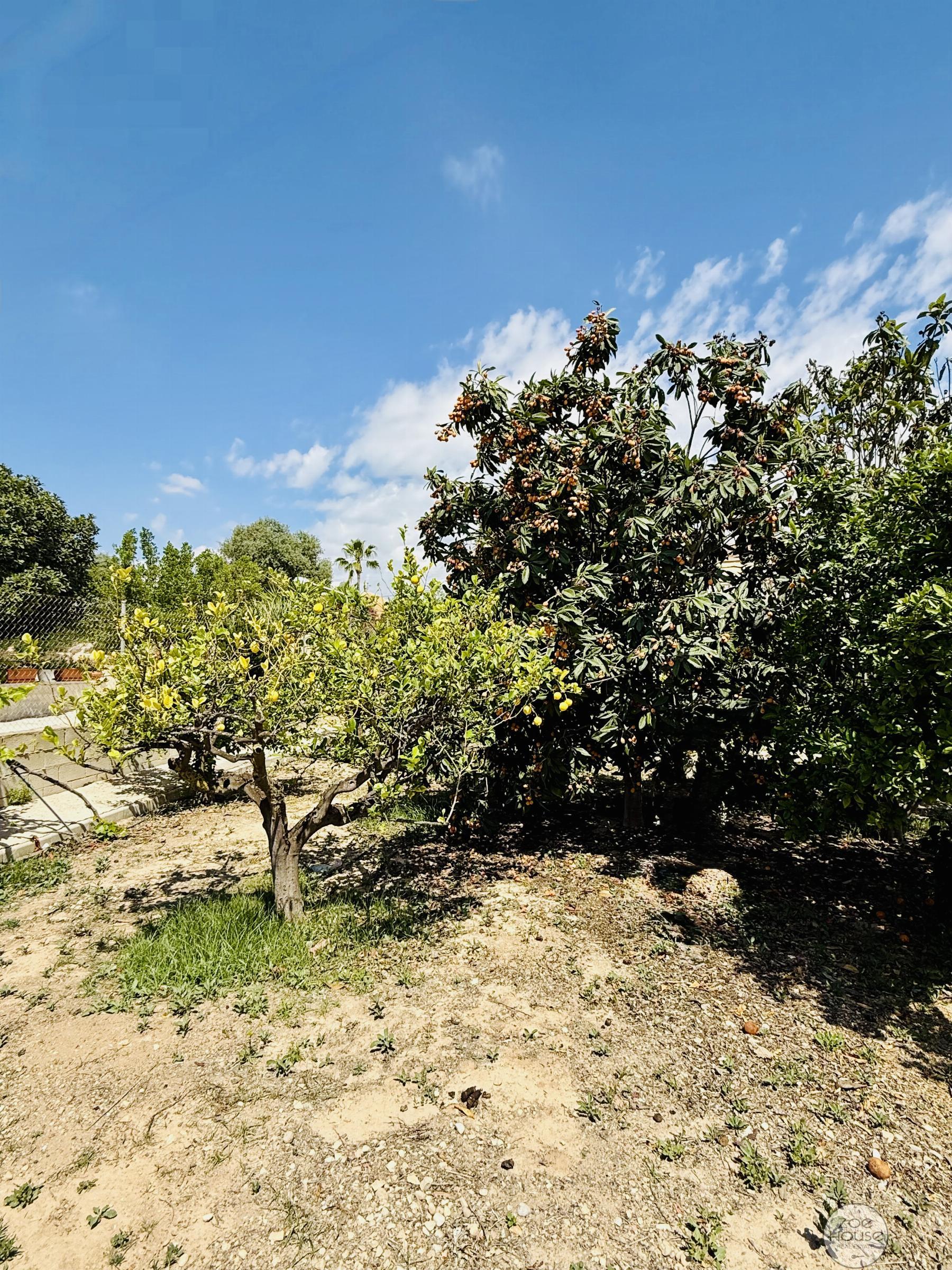 Terreno