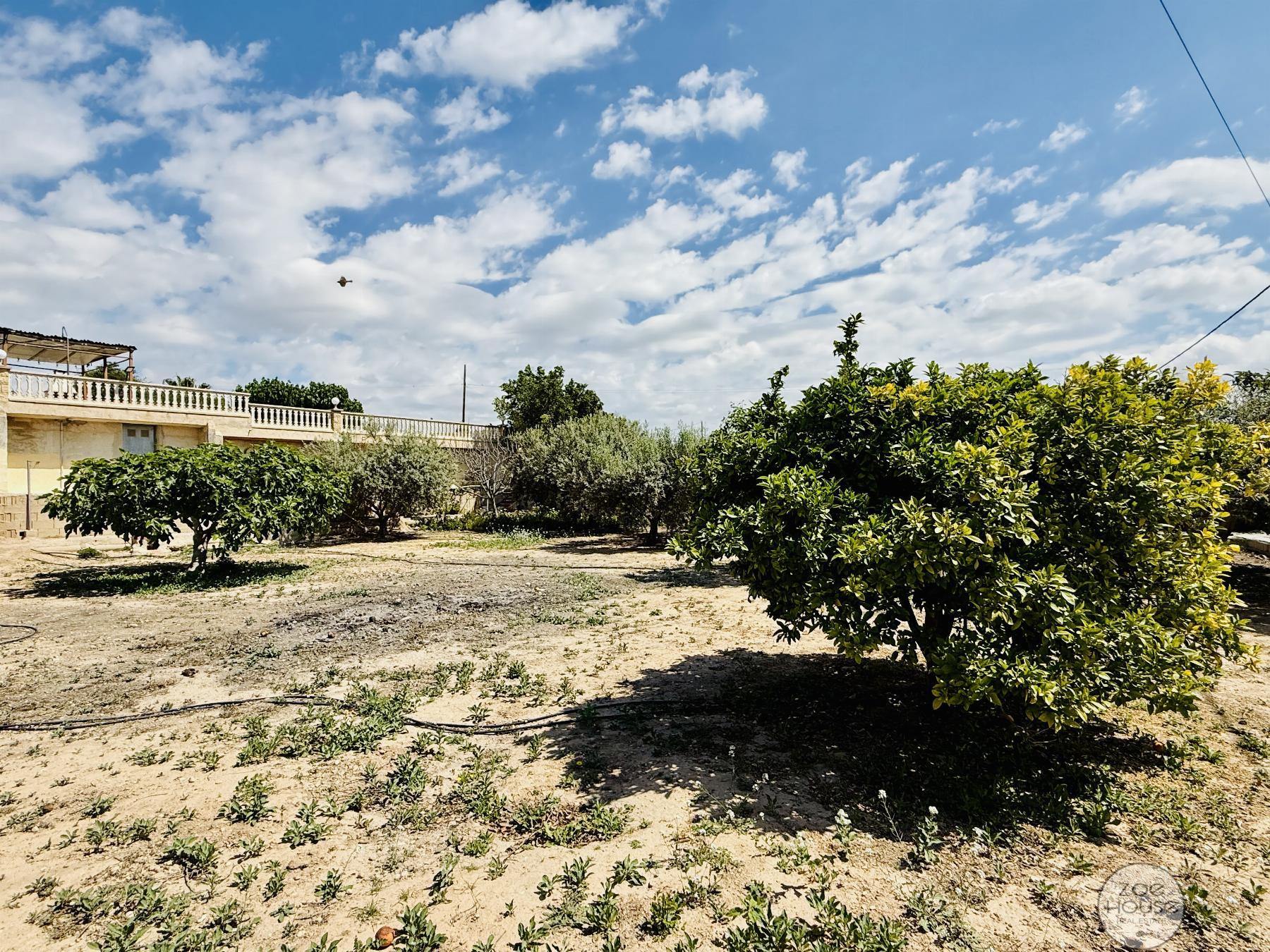 Terreno