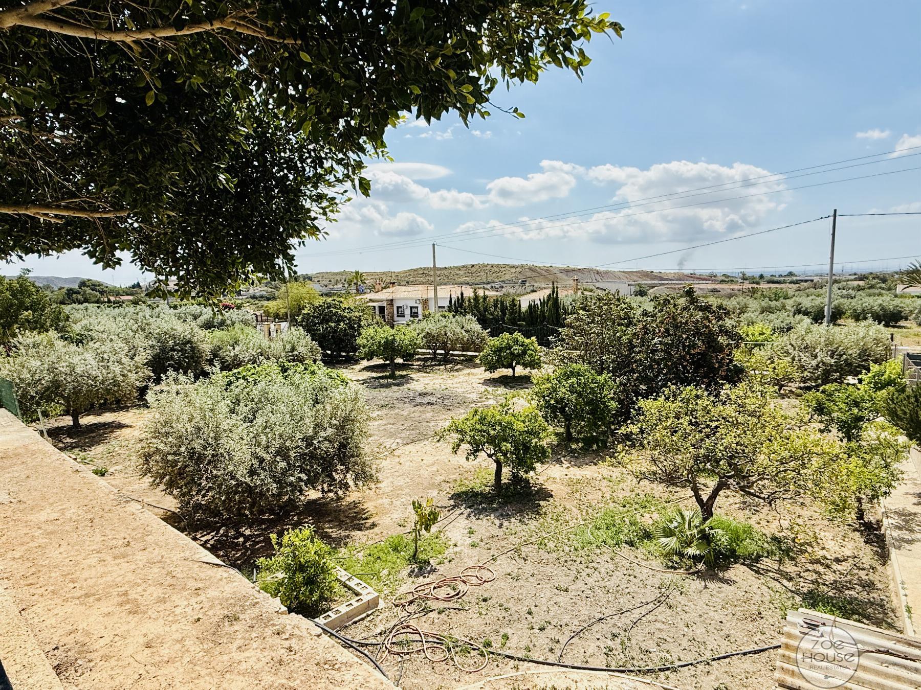 Terreno
