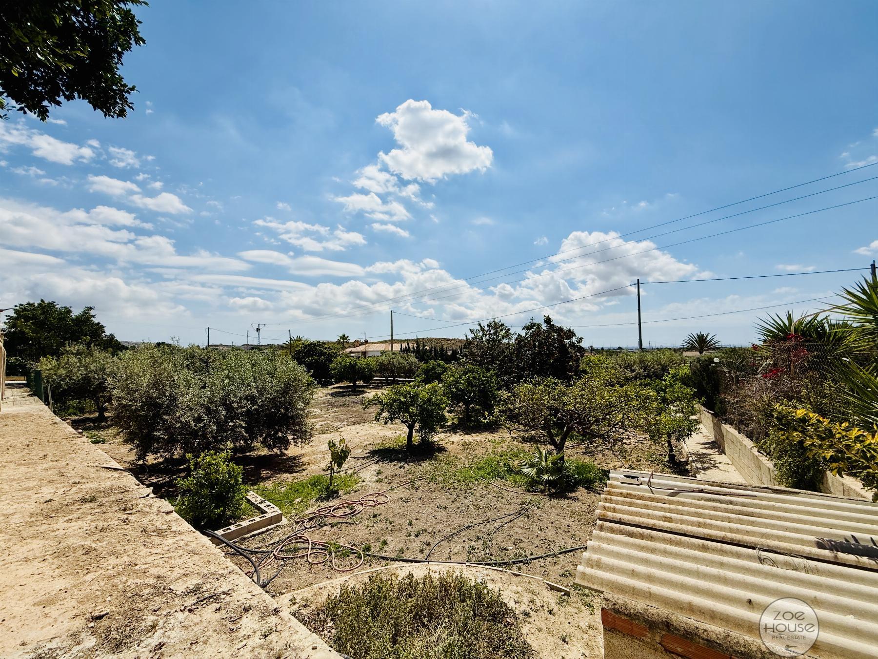Terreno