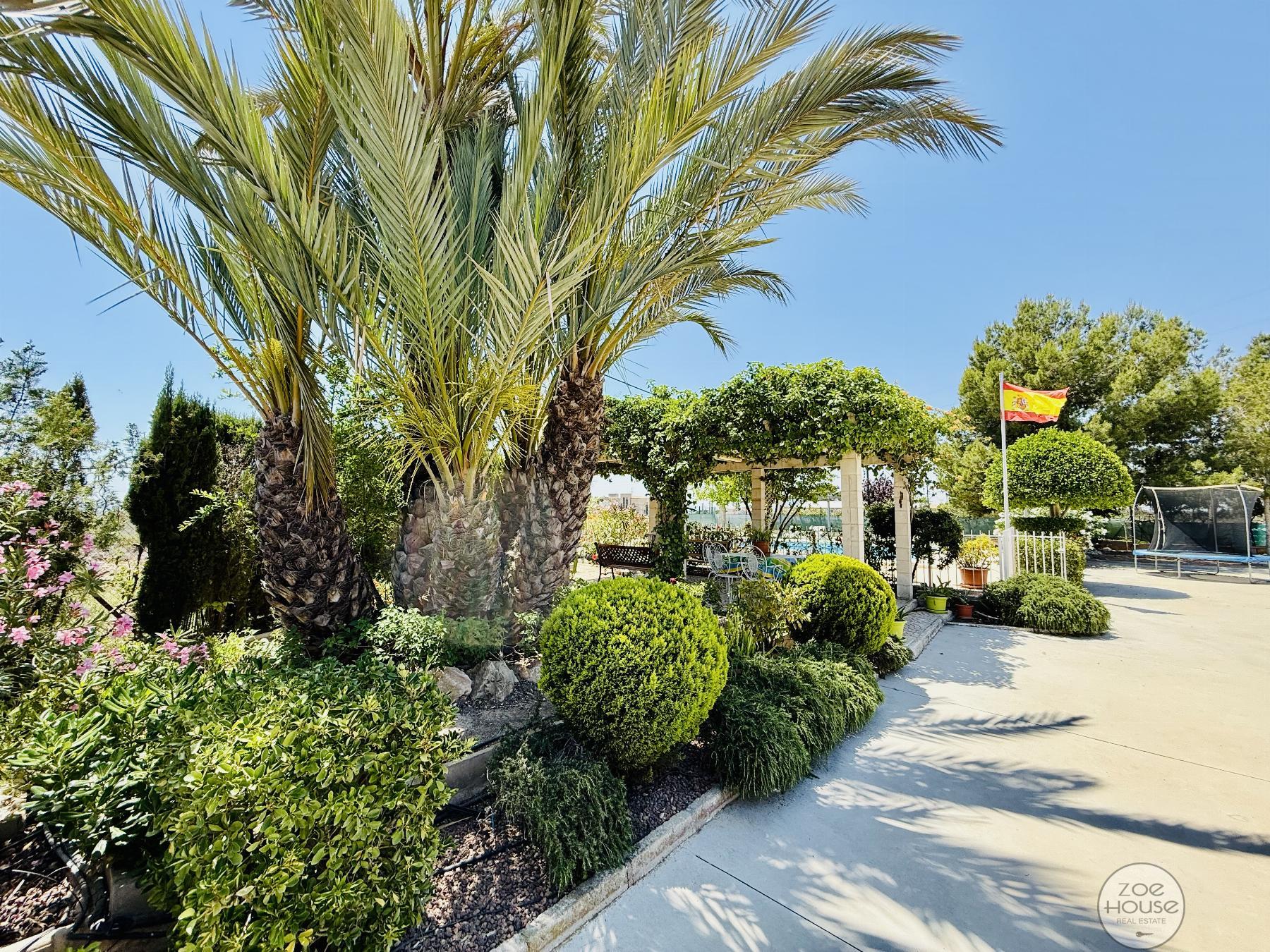 Venta de chalet en Elche-Elx