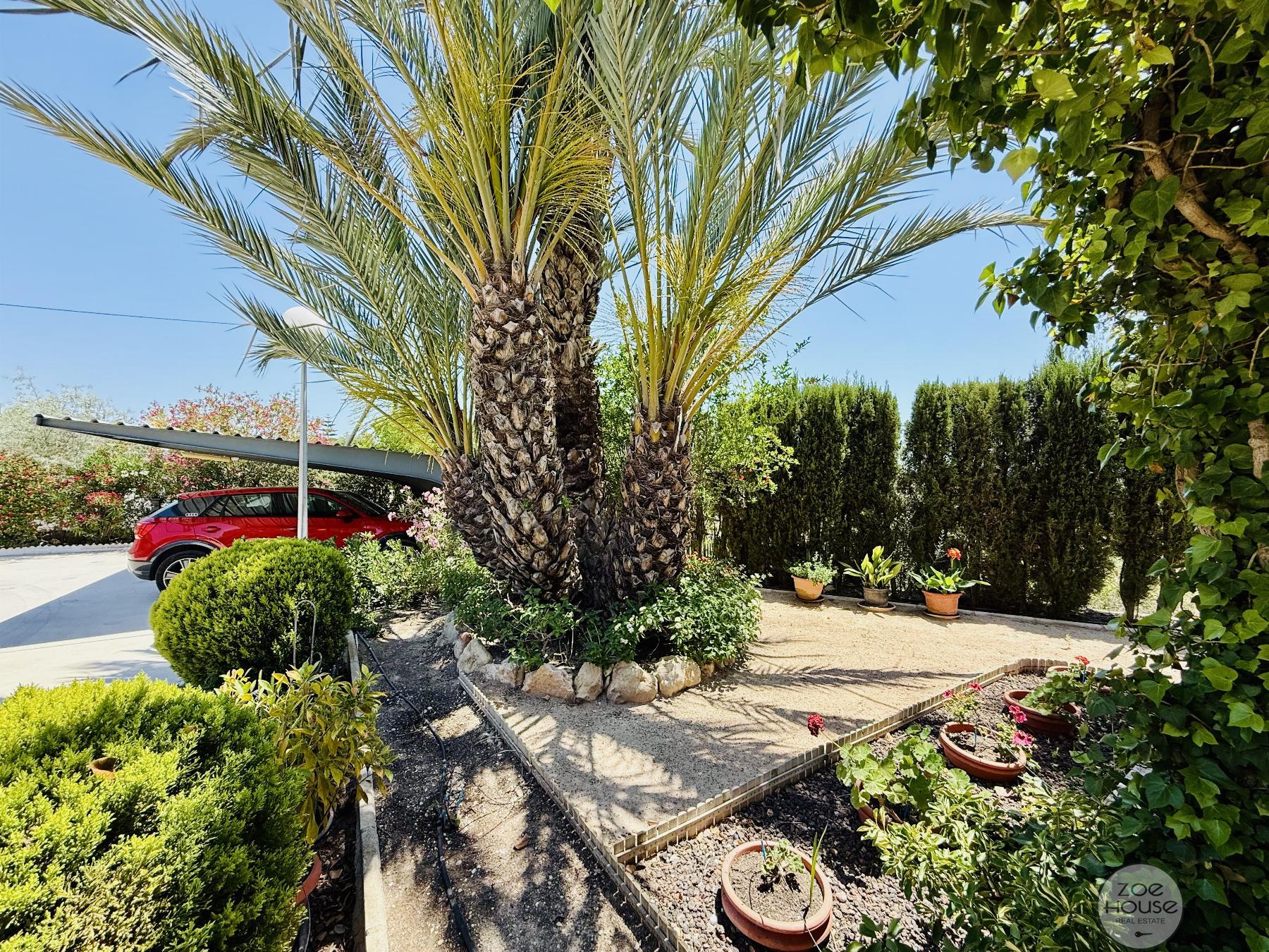 Venta de chalet en Elche-Elx