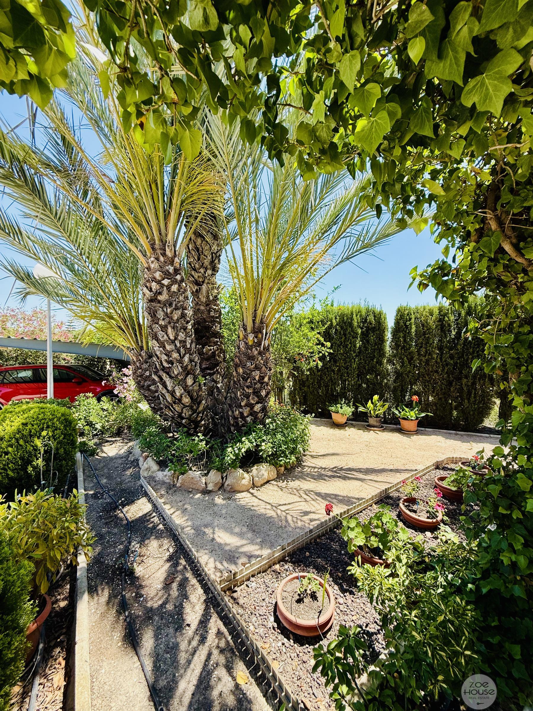 Venta de chalet en Elche-Elx