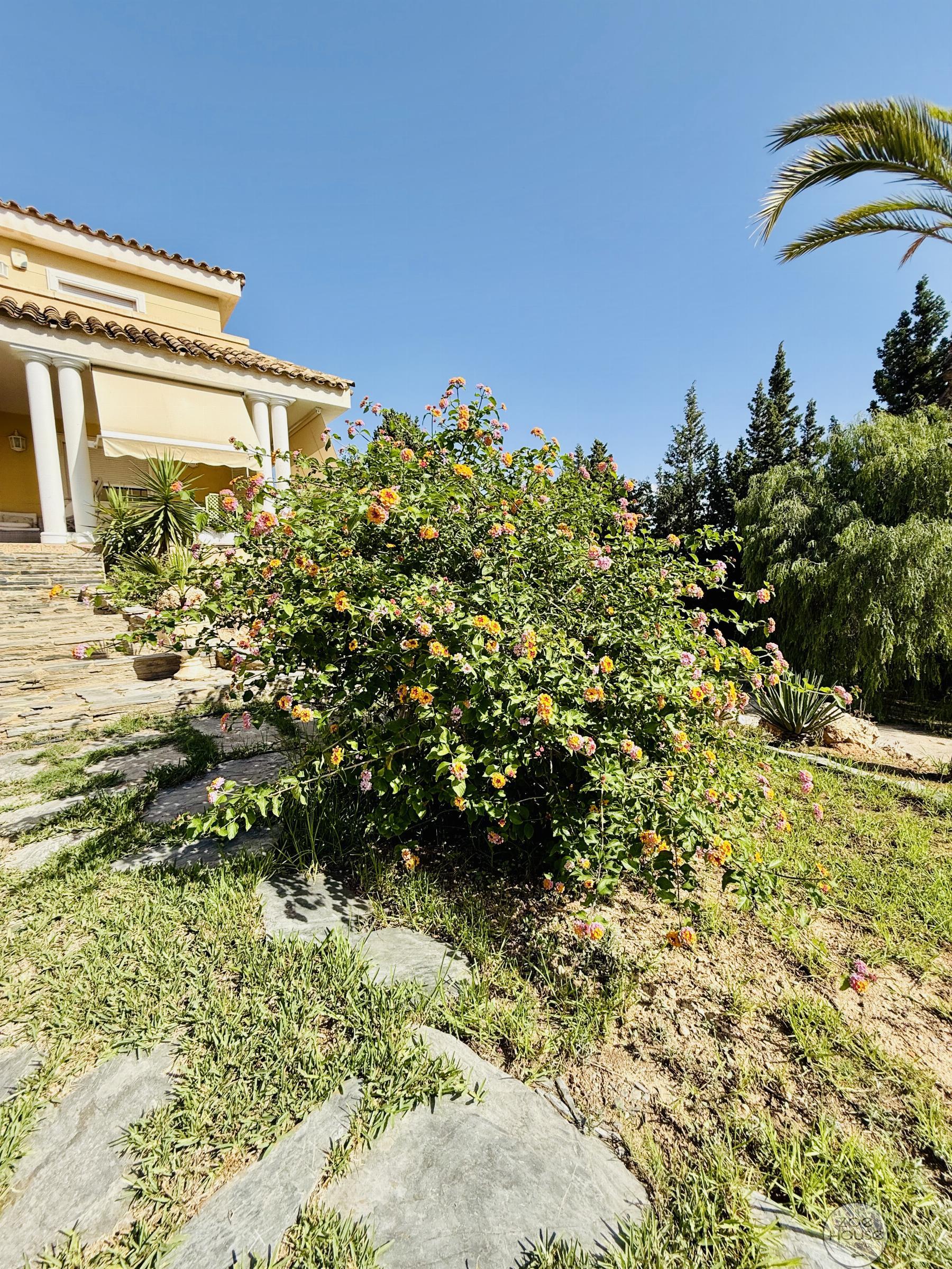 Giardino Giardino