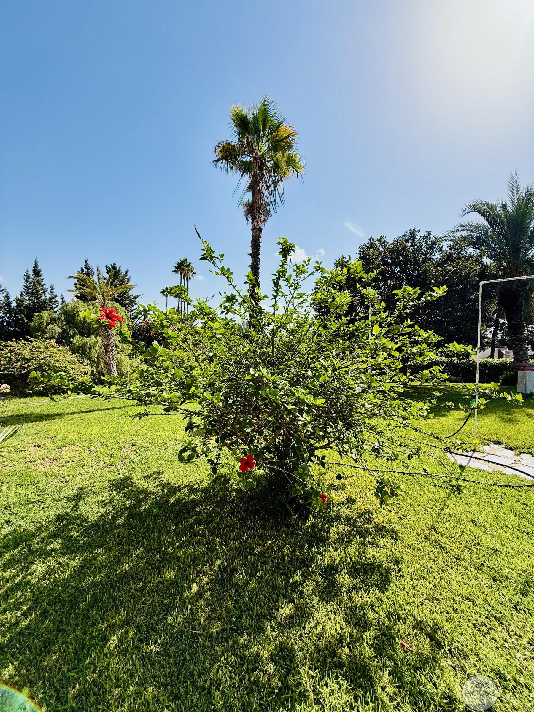 Giardino Giardino