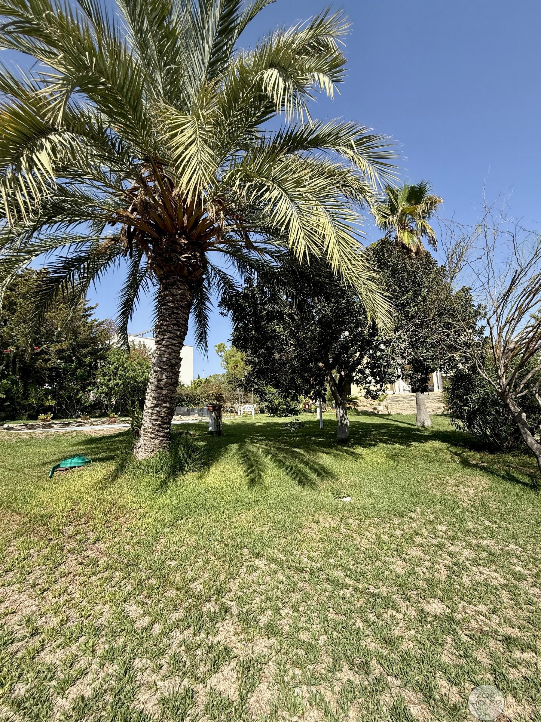 Giardino Giardino