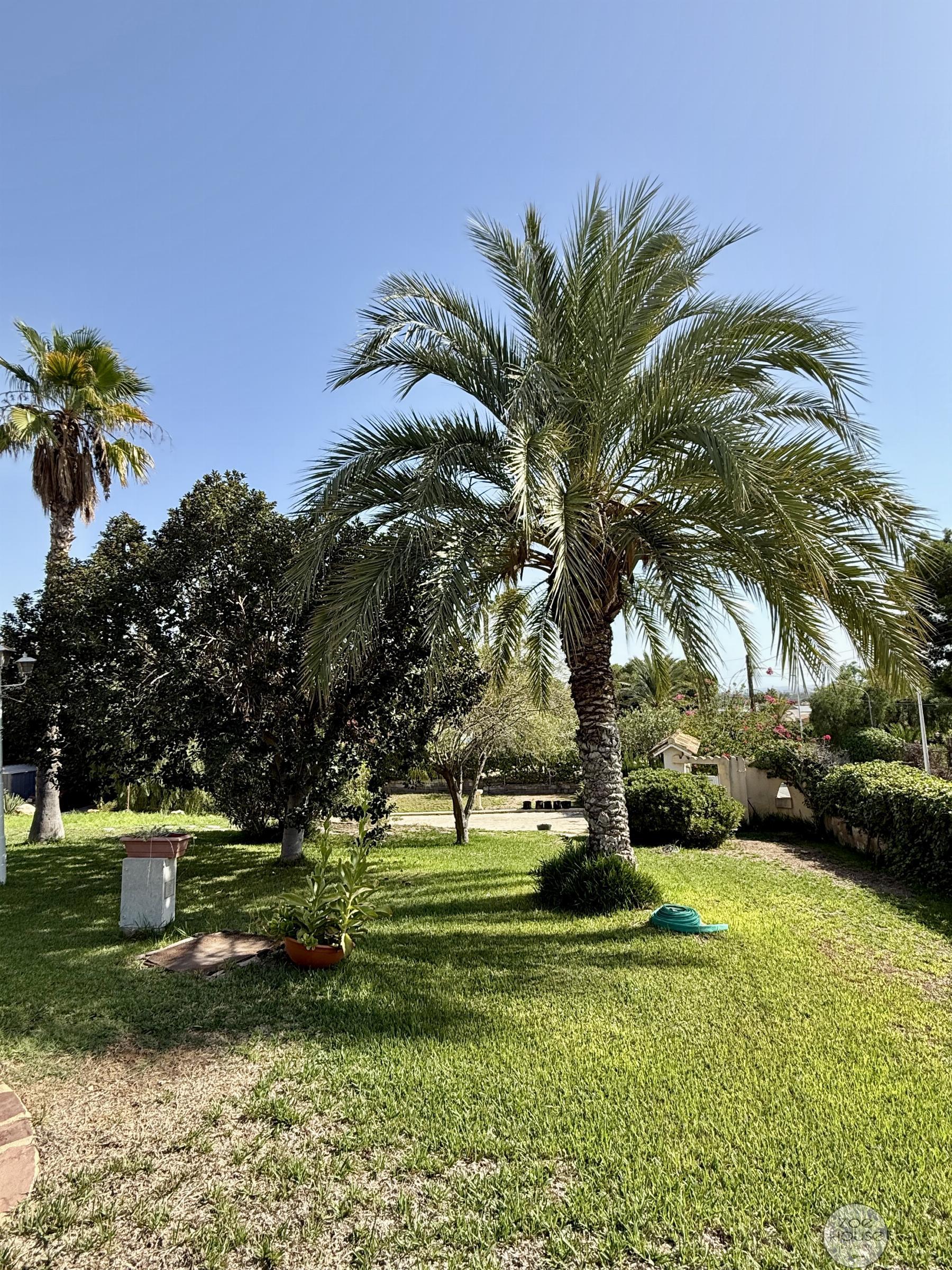Jardín