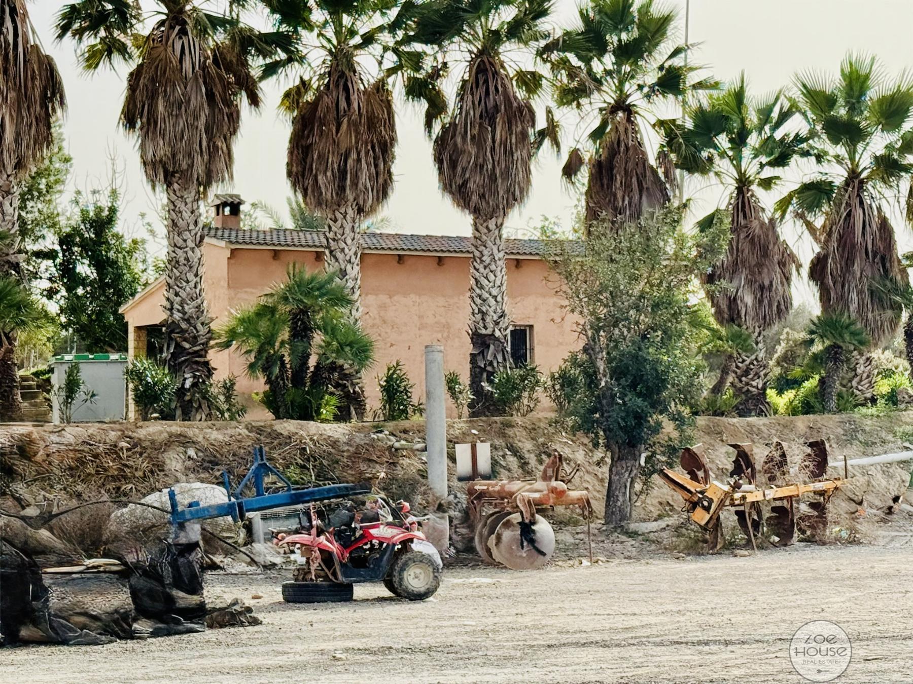 Venta de chalet en Elche-Elx