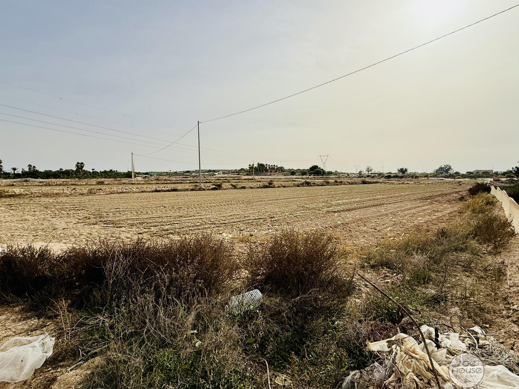 Venta de chalet en Elche-Elx