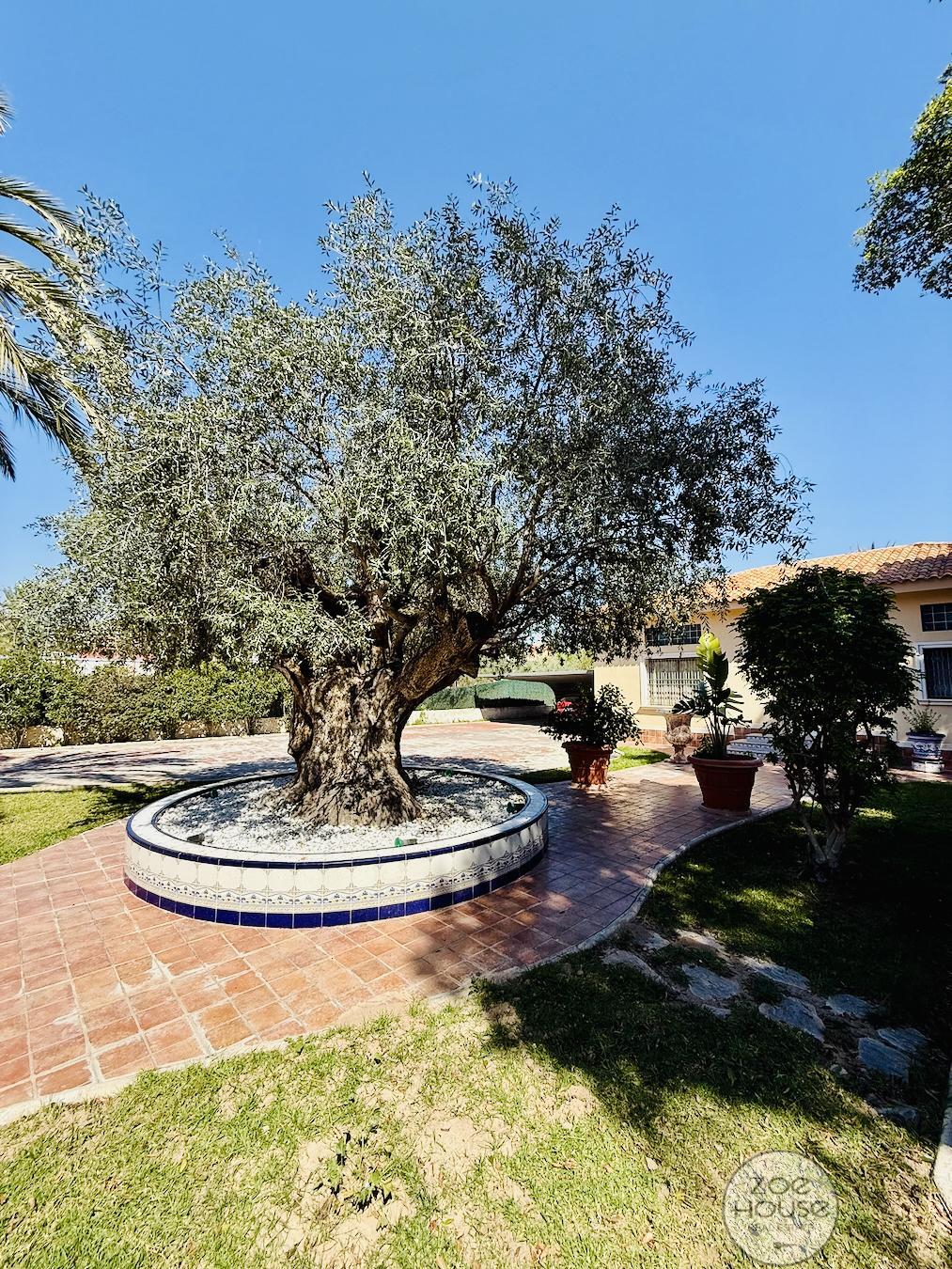 Venta de chalet en Elche-Elx