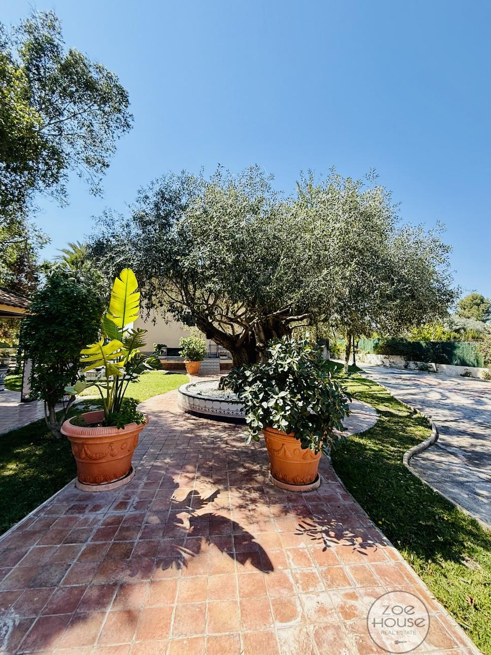 Venta de chalet en Elche-Elx