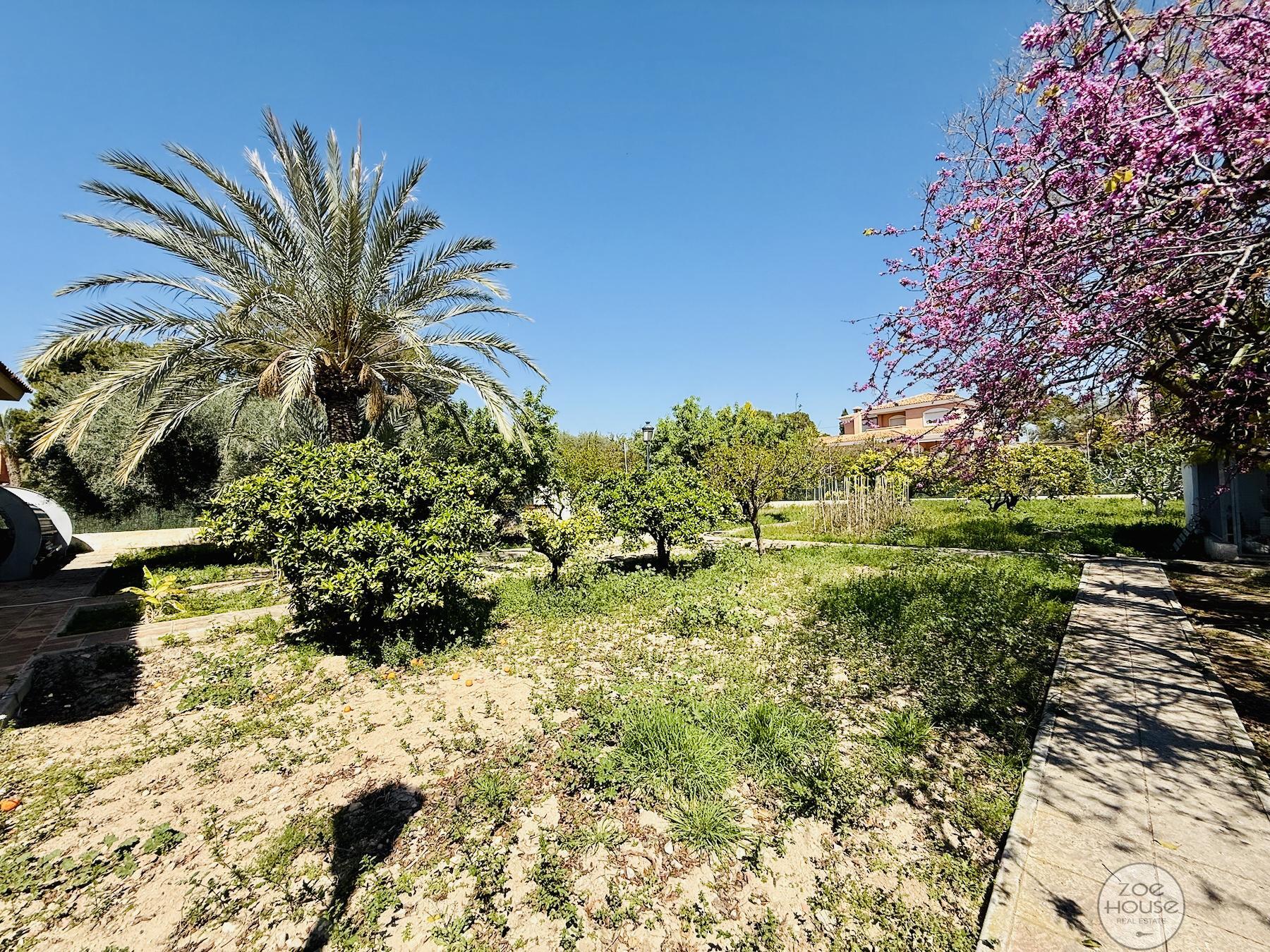 Venta de chalet en Elche-Elx