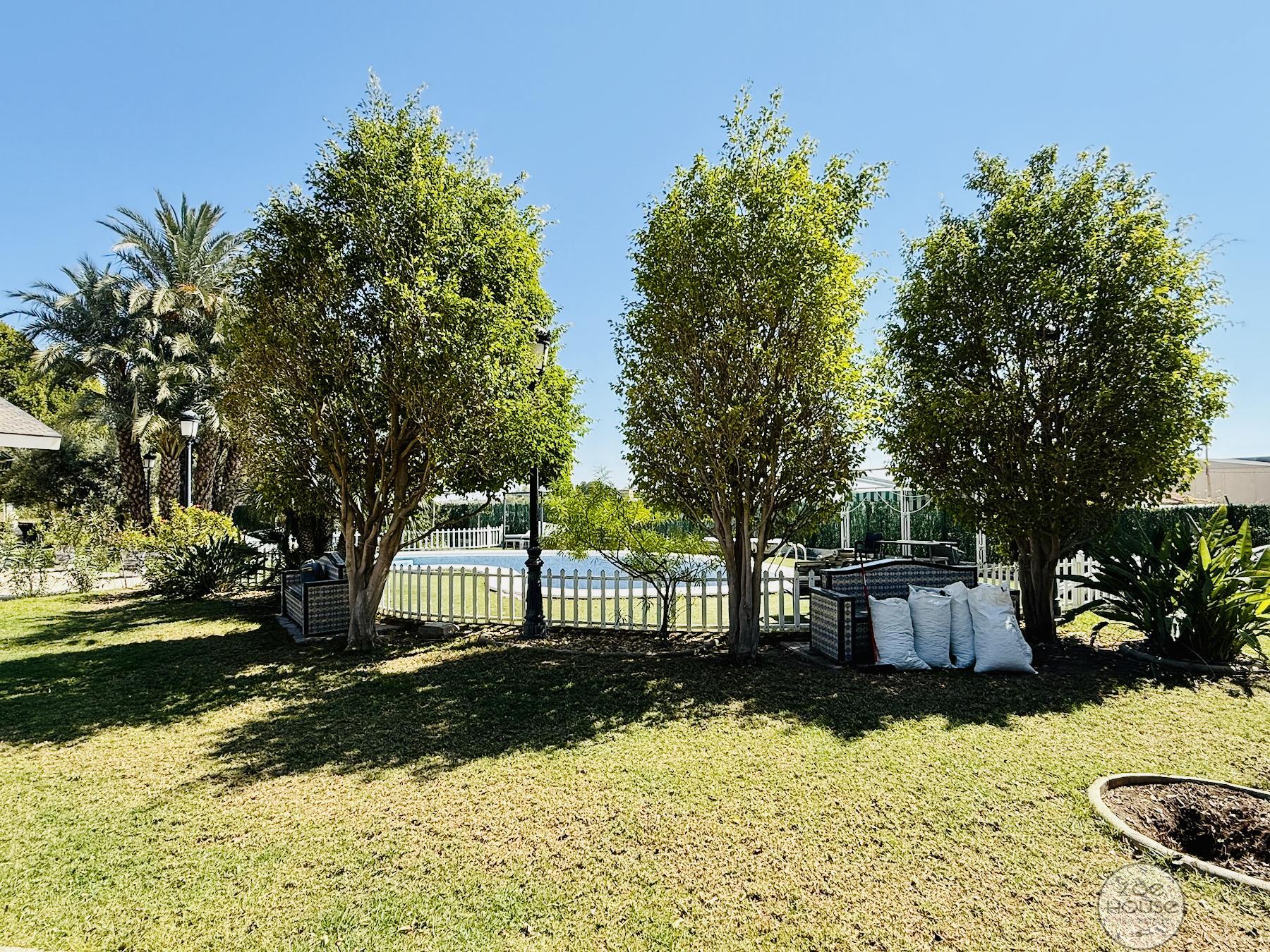 Venta de chalet en Elche-Elx