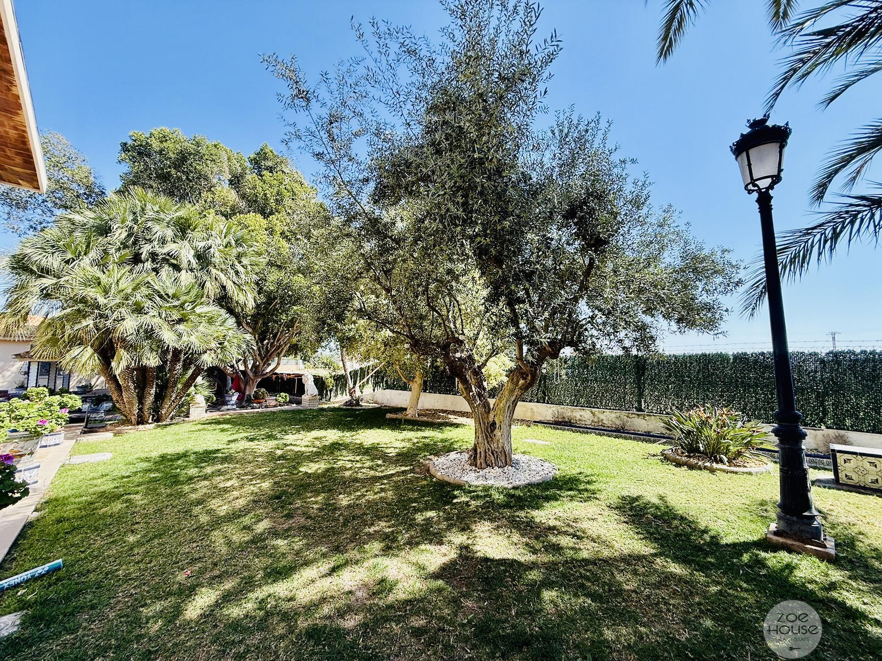 Venta de chalet en Elche-Elx